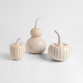 Pumpkin (small size)