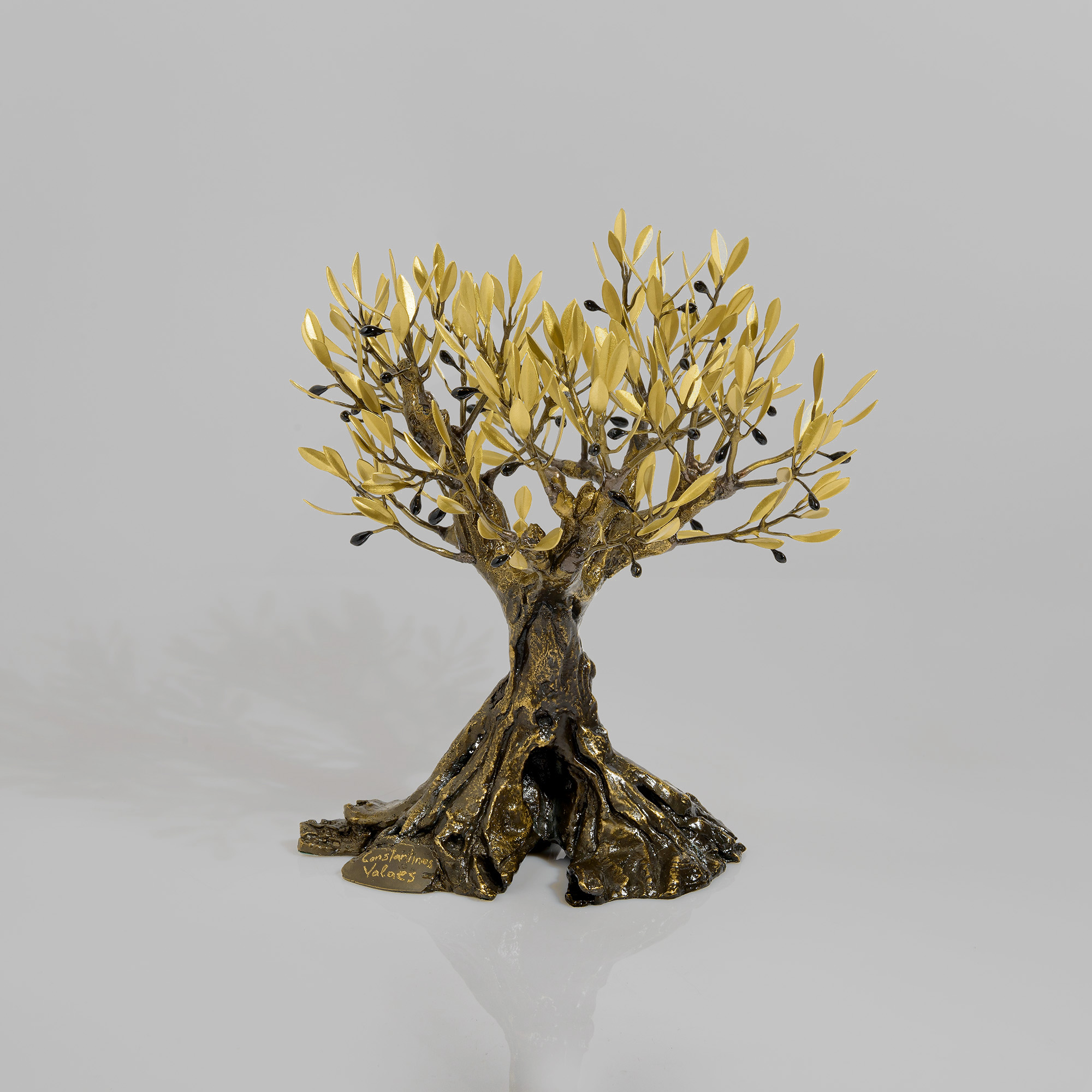 Bronze olive tree with thick trunk