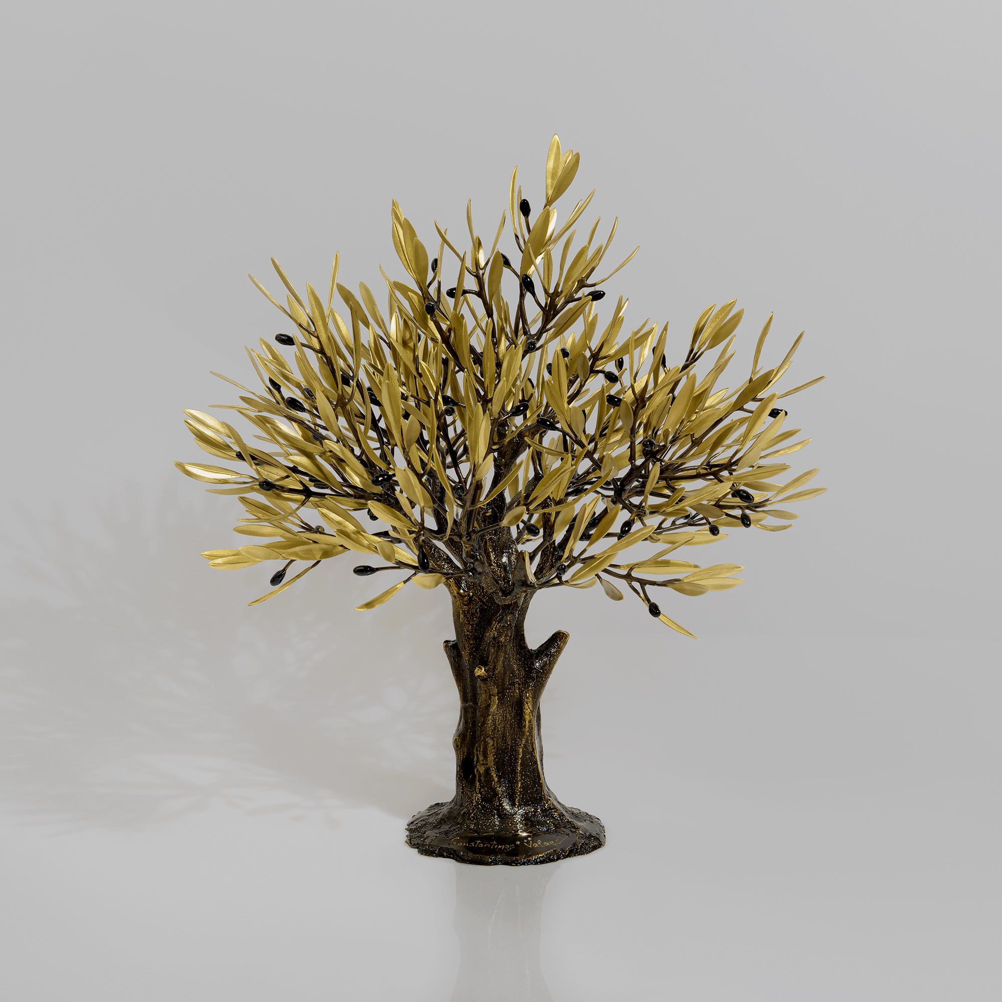 Bronze olive tree with wide trunk